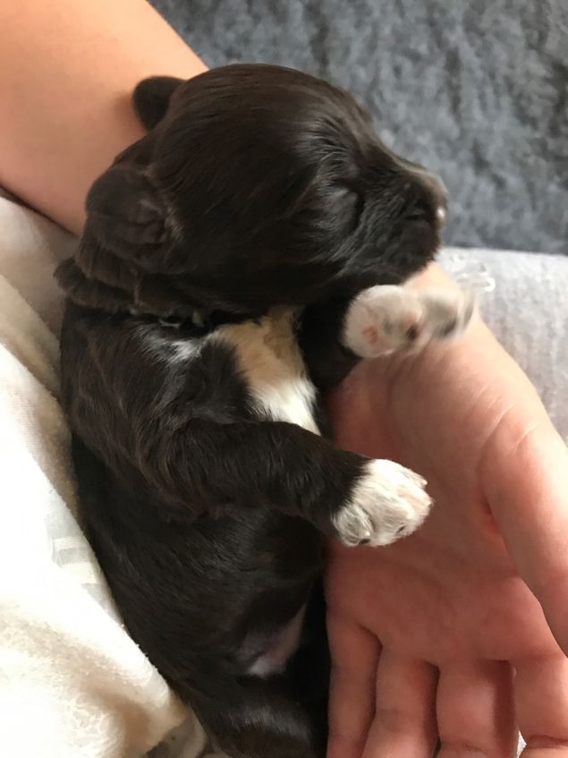 <3